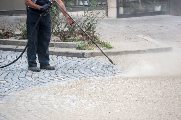 Best Animal Enclosure Cleaning  in Newark, DE